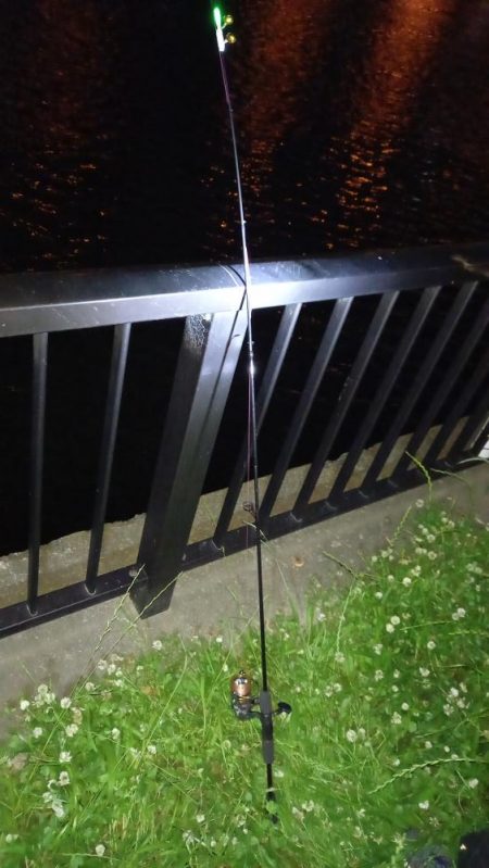 雨上がりに夜練