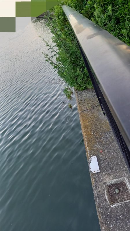 昨晩の釣果に味をしめて、朝練でうなぎ！！