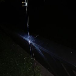 大雨の翌日、怪物うなぎ他、多数！！