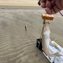 短時間の釣行でしたが釣れました