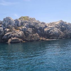 和歌山大引の磯でフカセ釣り