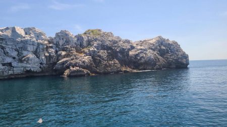 和歌山大引の磯でフカセ釣り