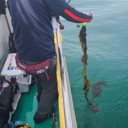 明石　船タコ開幕