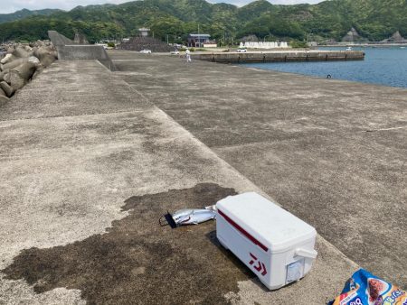 さばごの餌取り