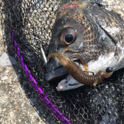 初場所デイチニング