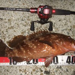 今シーズン初釣行