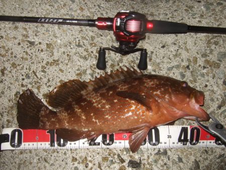 今シーズン初釣行