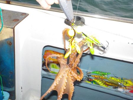 タコ開幕戦〜鍵庄〜