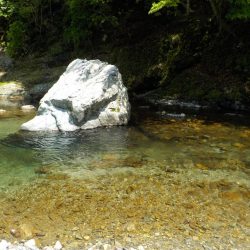 アマゴ第5戦〜美山〜