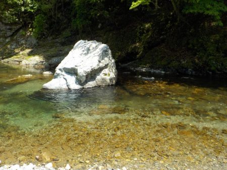 アマゴ第5戦〜美山〜
