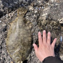 久しぶりの釣り