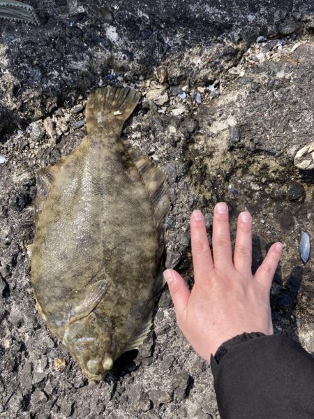 久しぶりの釣り