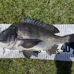 イチノ兄弟、釣果!