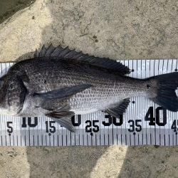 イチノ兄弟、釣果！