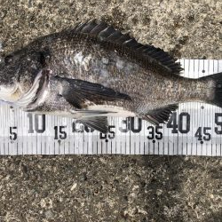 イチノ兄弟、釣果！