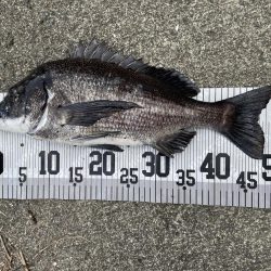 イチノ兄弟、釣果！