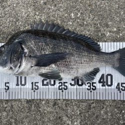 イチノ兄弟、釣果！