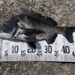 イチノ兄弟、釣果!