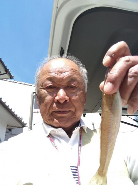 やっとキスが釣れ始めました