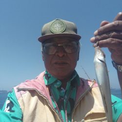 近場のキス調査