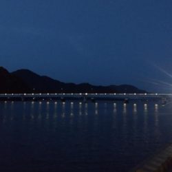 津居山港のキス調査