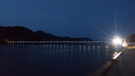 津居山港のキス調査