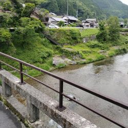 高見川で、アマゴ狙い