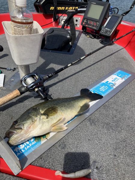 GW北山田40cm〜4匹