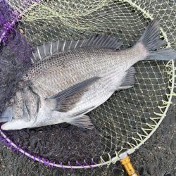 荒れる前のランガン釣行