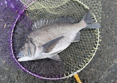 荒れる前のランガン釣行