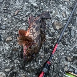 春のガッシー祭り終盤