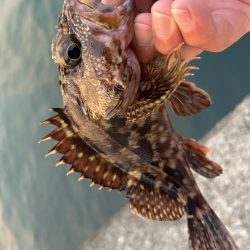 春のガッシー祭り終了!