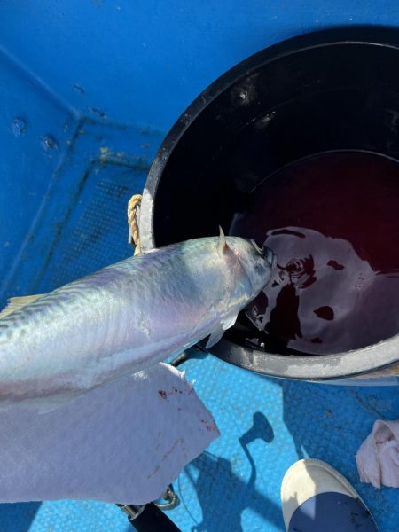 大サバパラパラ