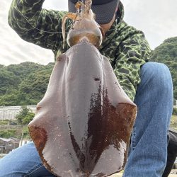 春の恵み