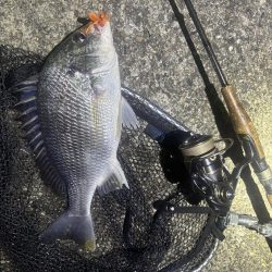 爆風の中爆釣👍