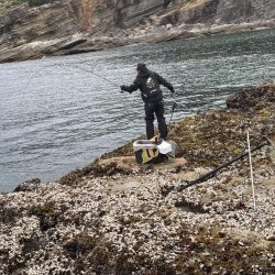 和歌山市江（吉丸渡船）でグレ釣り