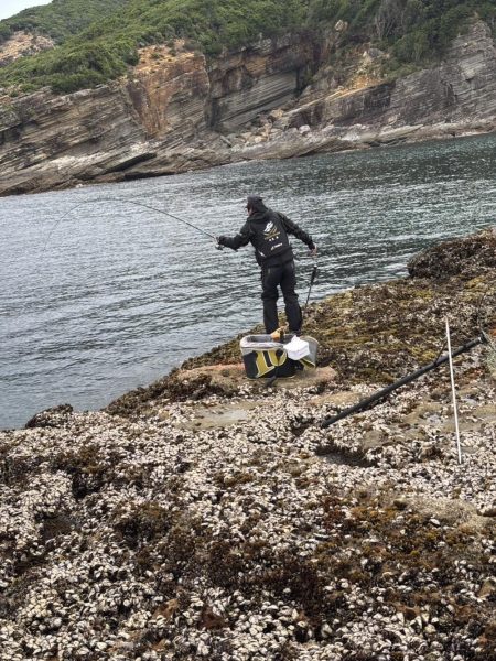和歌山市江（吉丸渡船）でグレ釣り
