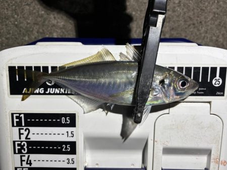 43cmのビッグな外道!