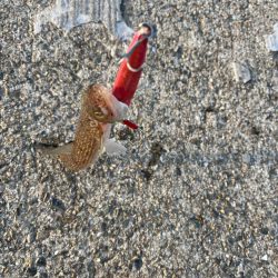 風マシなところで