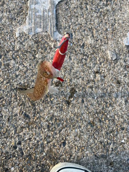 風マシなところで