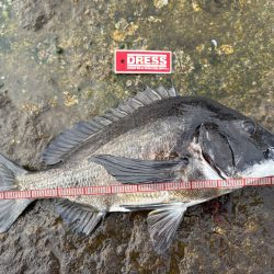 GW後半3日目でやっと釣果を報告できる事に！！