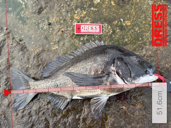 GW後半3日目でやっと釣果を報告できる事に！！