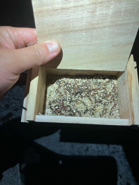 東二見メバル19