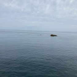 初日がでました。