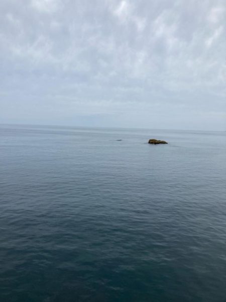 初日がでました。