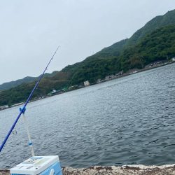 シロギスタ出陣