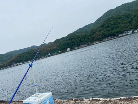 シロギスタ出陣