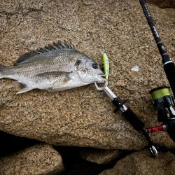 GWはどうでしょう？