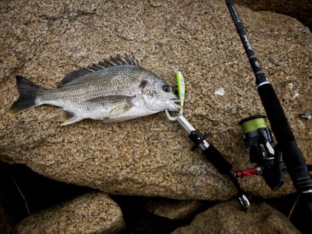 GWはどうでしょう？