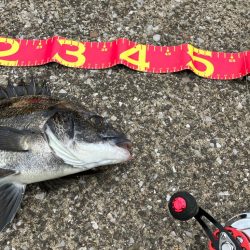 こんな所にもいるんだ⁉︎